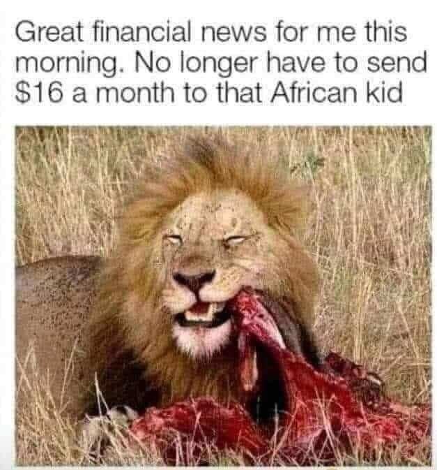 Now the lion has feline aids - meme