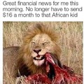 Now the lion has feline aids