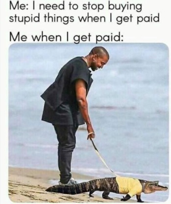 Just a guy casually walking his pet gator - meme