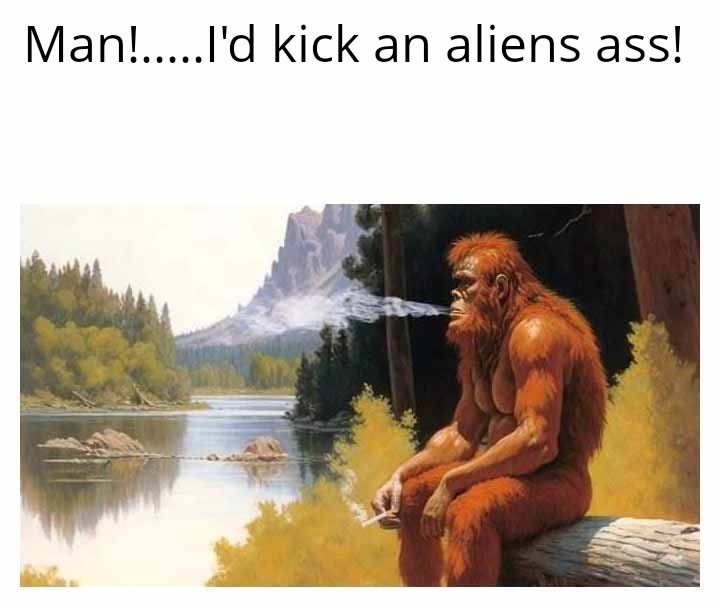 Fuckin' aliens! - meme