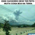 Bom garoto