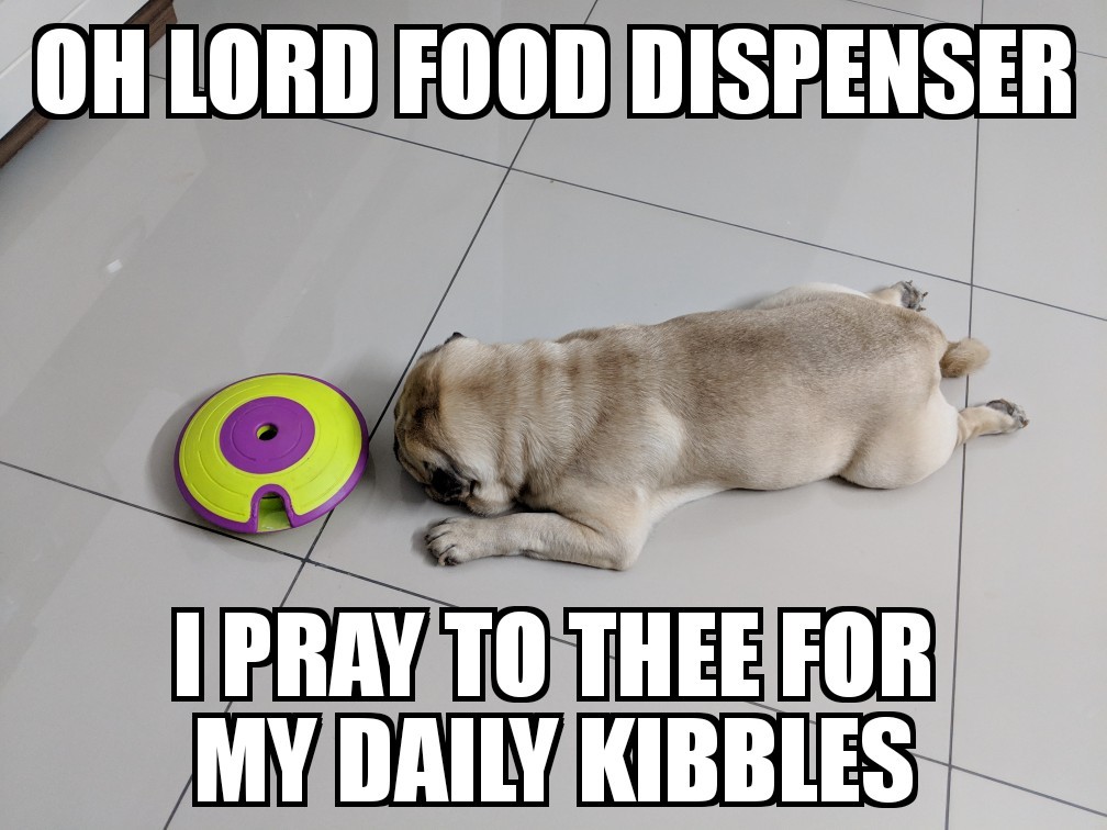 Religious Doggo - meme