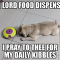 Religious Doggo