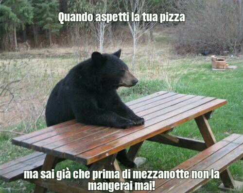 #pizza - meme