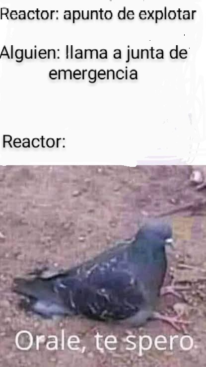 Reactor - meme