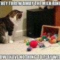 Cat has nothing to play with now