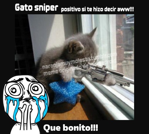 Gato sniper - meme