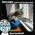 Gato sniper