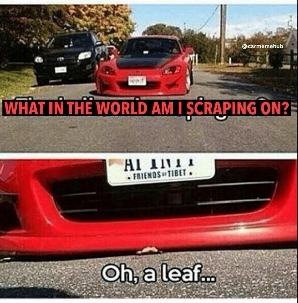 Leaf - meme