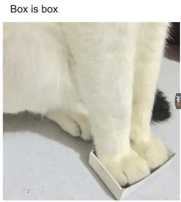 Box is always box - meme