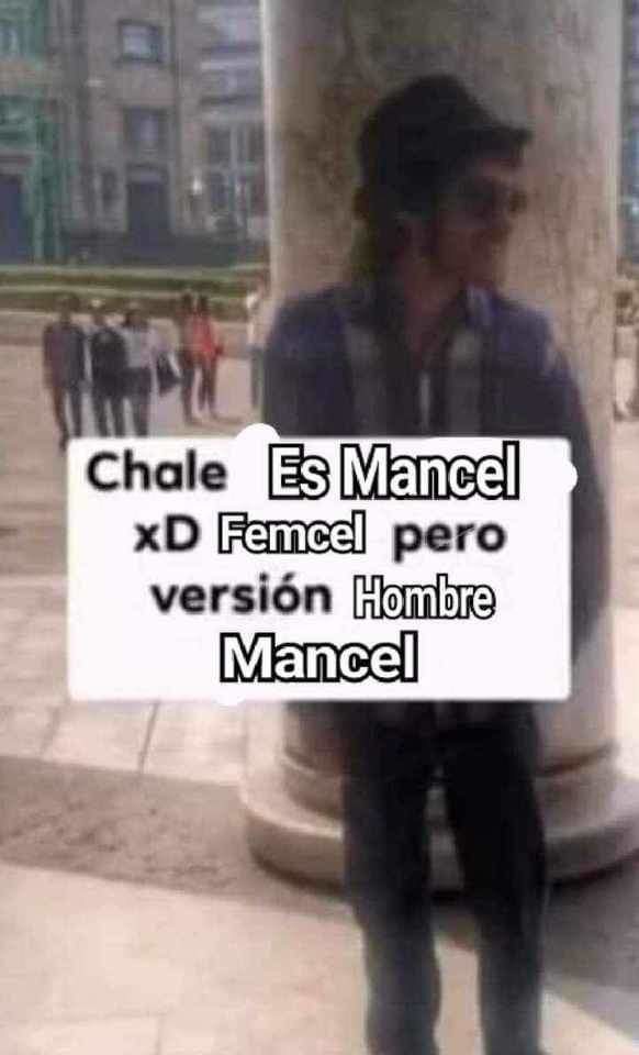 D - meme