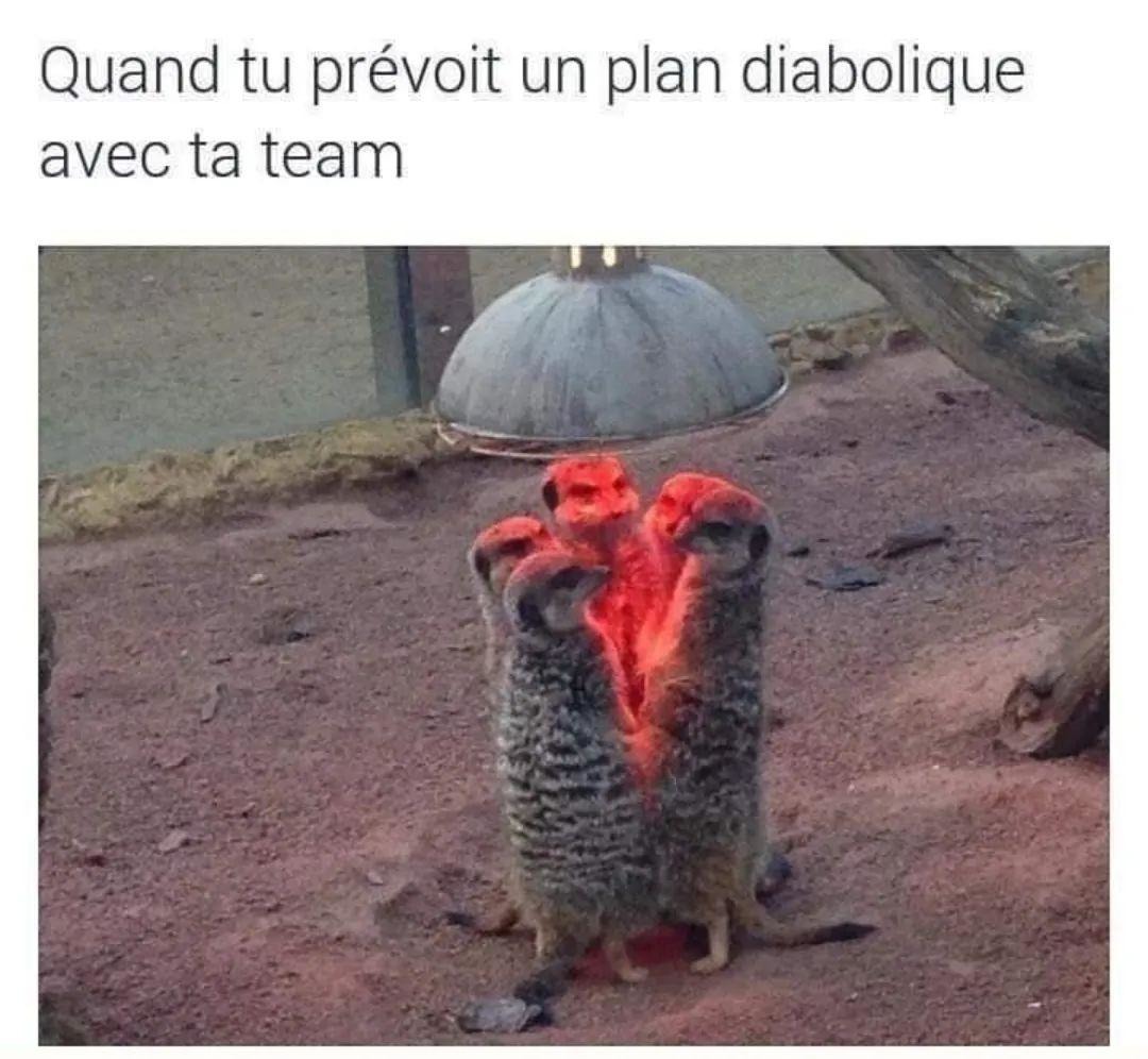 C'est tellement ça (repost) - meme