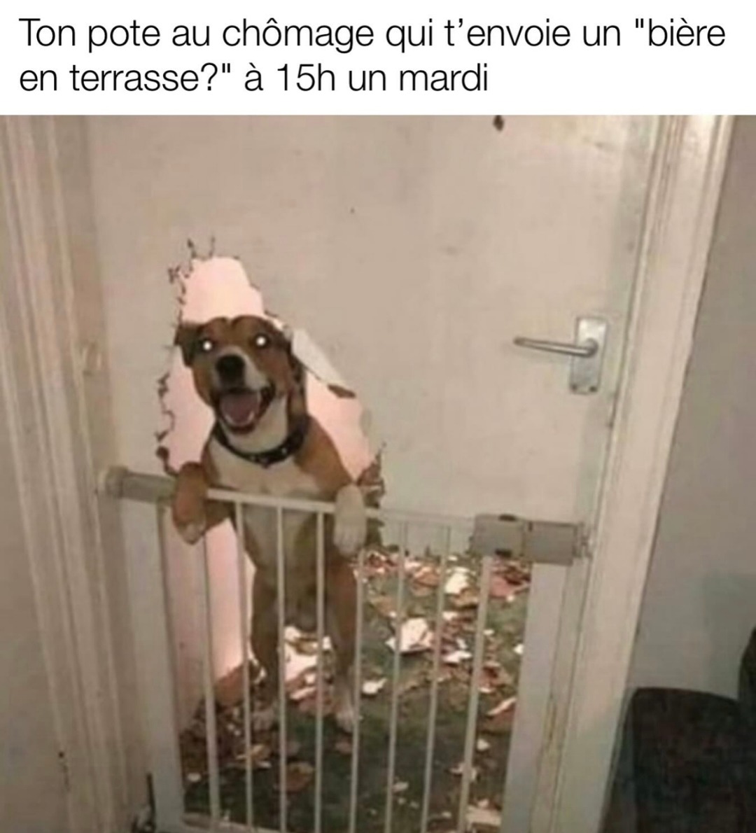Ton pote au chômage t’invite en terrasse à 15h un mardi - meme