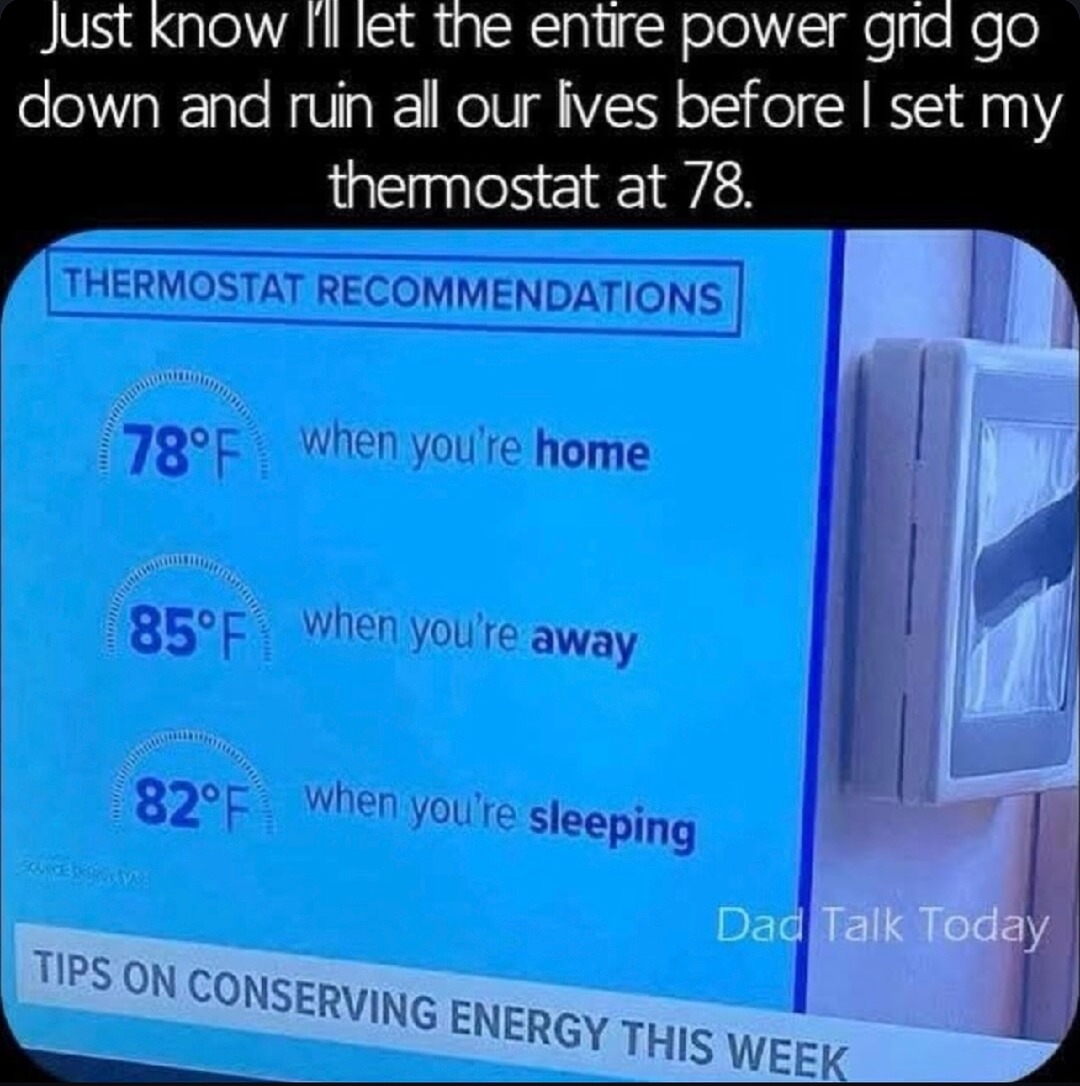 Not touching that thermostat if it kills the power grid - meme