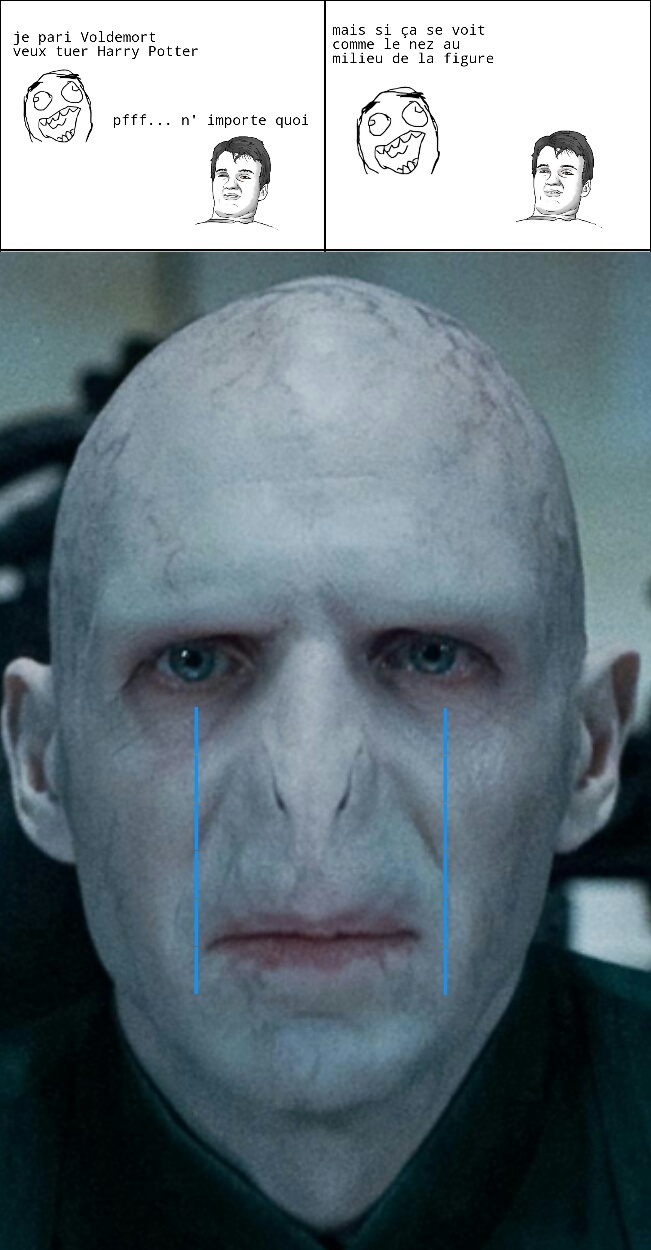Voldemort nez pas content - meme