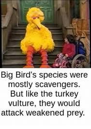 Big bird is evil - meme