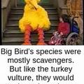 Big bird is evil