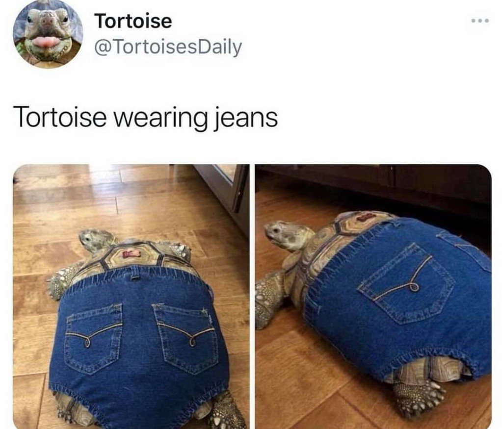 The best Jeans memes :) Memedroid