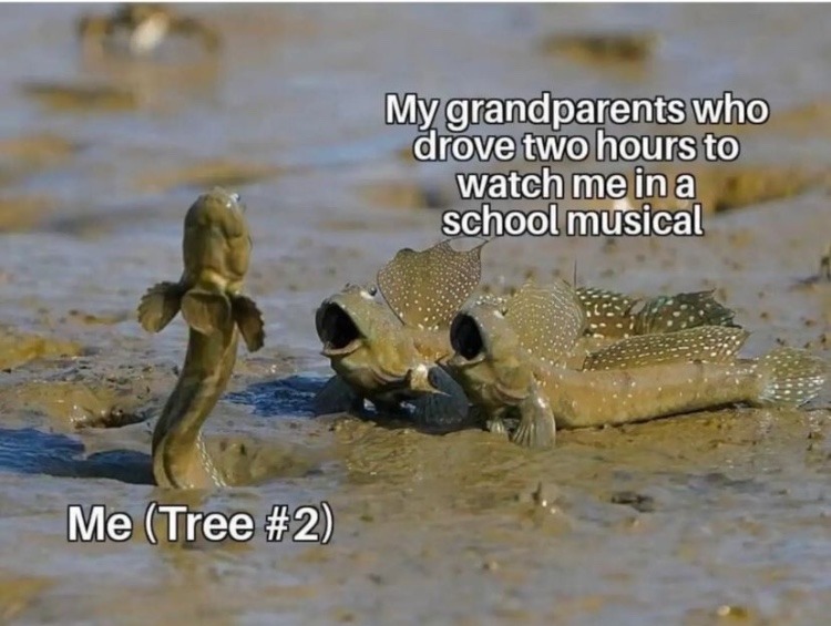 tree #2 - meme