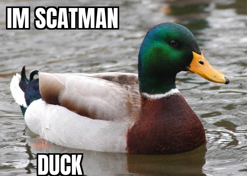 Duck scatman - meme