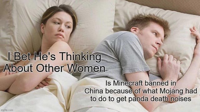 Is Minecraft banned in China? - meme