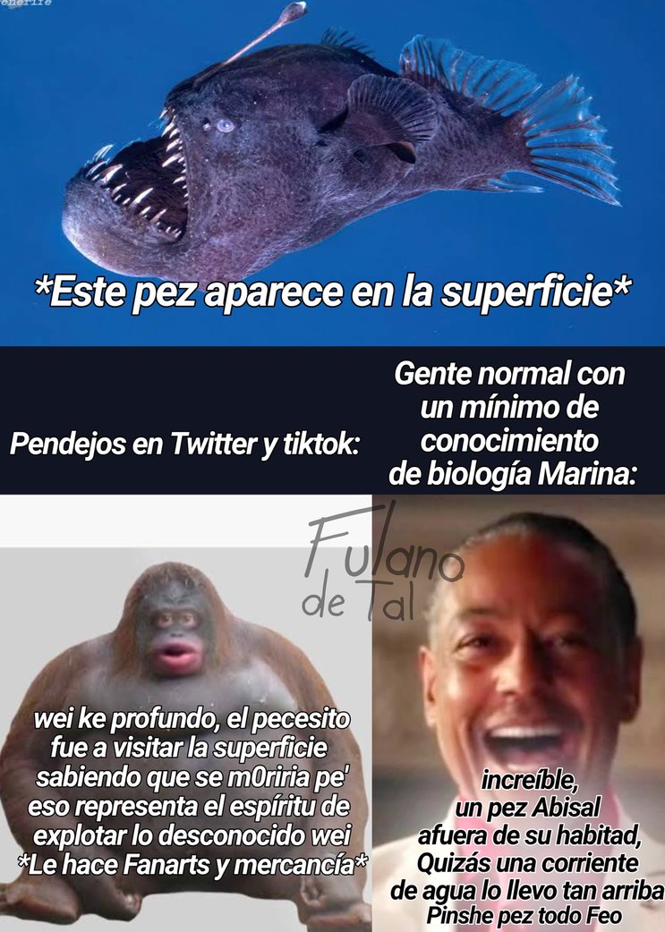 Ya olvidaron al capibara, ahora le toca la mojarra fea - meme