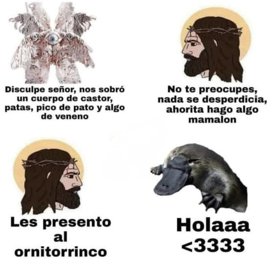 el creador del ornitorrinco: sírvase con lo que sobró - meme