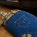Tartaruga de jeans fodase