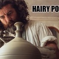 HAIRY! potter, wink wink*