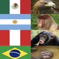 Animales Nacionales de Latinoamérica