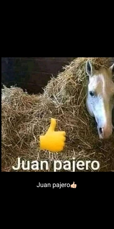 Juan  - meme