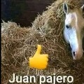 Juan 