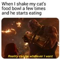 Funny cat and thanos meme