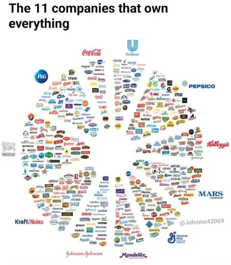 The 11 companies that own everything - meme