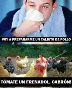 Caldito de pollo - meme