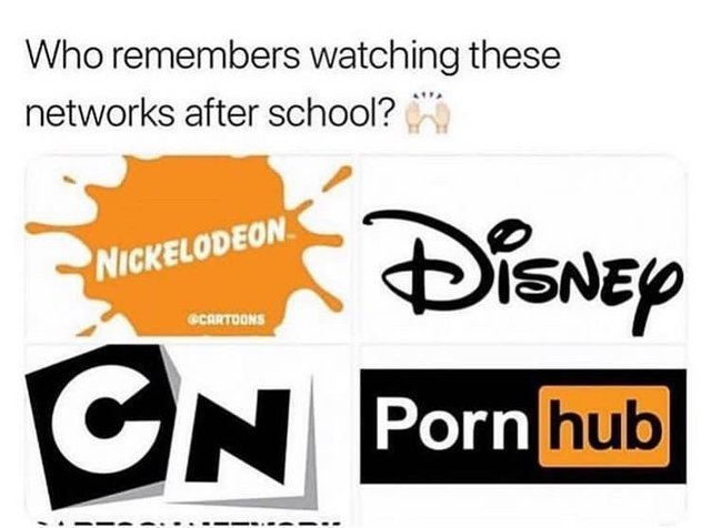 Who remembers watching these networks after school? - meme