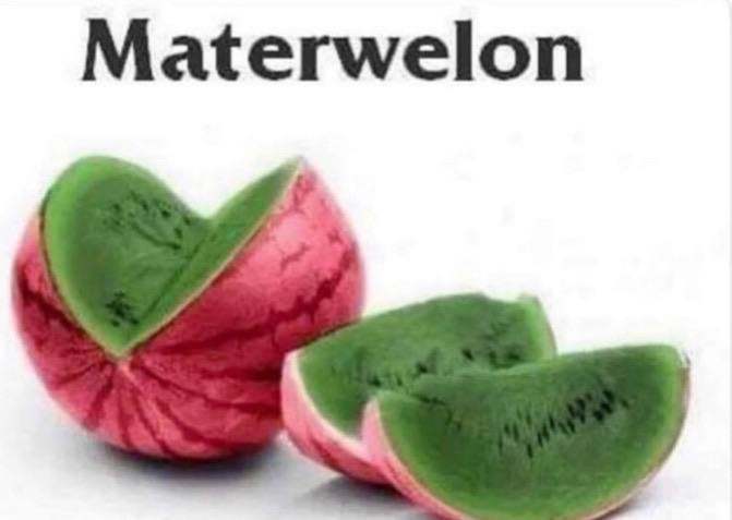 Materwelon - meme