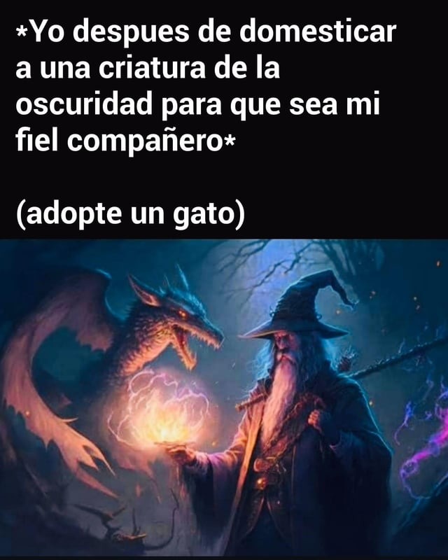 adopta un gato y se feliz - meme
