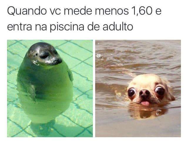 Nhaaaa - meme