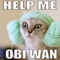 please obi wan