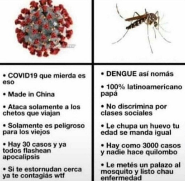 Chad dengue - meme