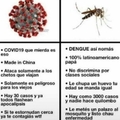 Chad dengue