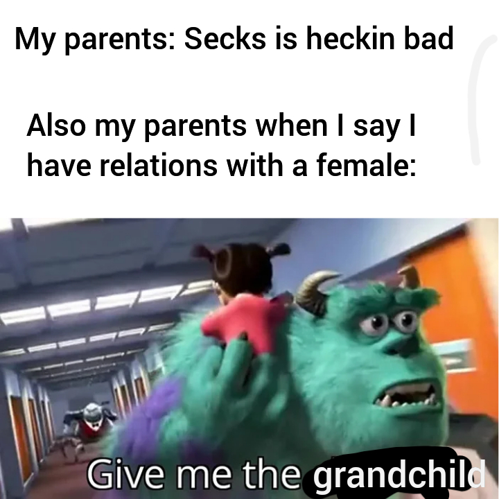 Don't do secks kids - meme