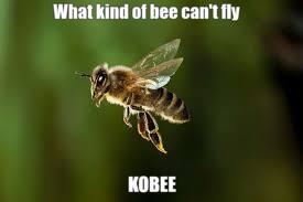 What kind of bee can't fly - meme