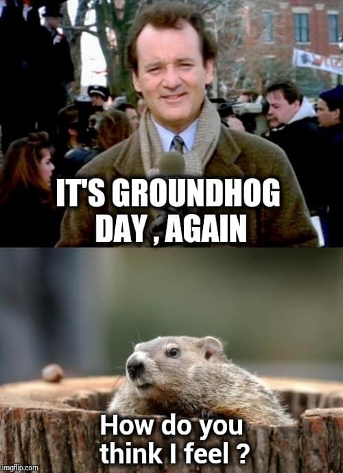 Groundhog day meme