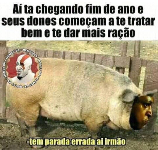 Pig - meme