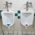 His and her urinals