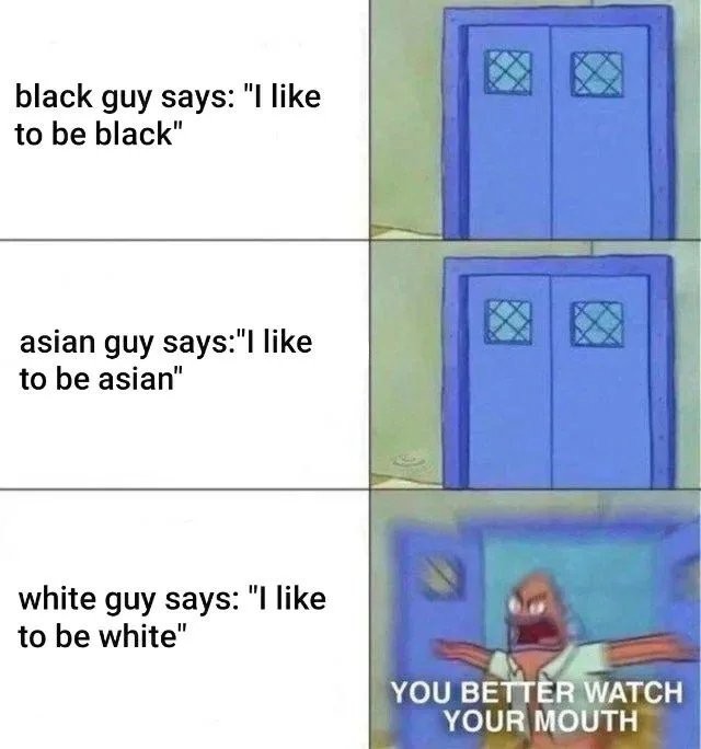Not to be racist but it's true - meme