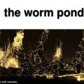 The worm pond