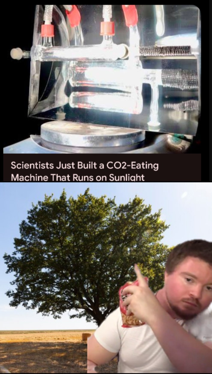 The problem is that trees are free - meme